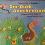 おすすめ英語の絵本　One Duck, Another Duck    Charlotte Pomerantz    幼児向け for toddlers